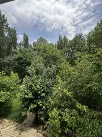 Sarmaşik Otel photo 5