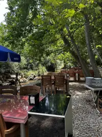 Sarmaşik Otel photo 8