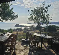 Pelikan Pansiyon Restorant photo 2