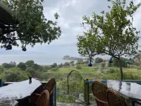 Pelikan Pansiyon Restorant photo 6
