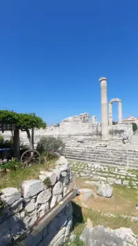 Oracle Cafe Pansiyon photo 3
