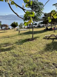 Ege akbük photo 3