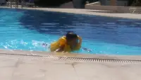 Artemis Ören Tatil Köyü photo 6