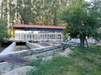 Alanlar Alabalik Ve Otel photo 2