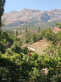 Alanlar Alabalik Ve Otel photo 4