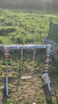 Assos Egedebirnefes Kır Evi photo 4
