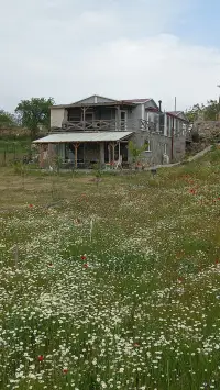 Assos Egedebirnefes Kır Evi photo 2