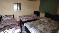Çam Işığı Pansiyon bungalov & Restoran photo 8