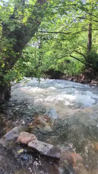 Çam Işığı Pansiyon bungalov & Restoran photo 2