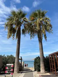 Agaya Didim Resort Hotel photo 2