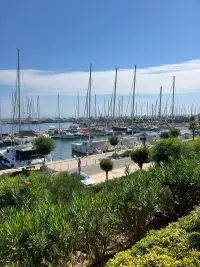 Yacht Club photo 2