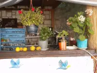 Alaçatı Bedirhan Konak Otel photo 15