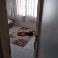 Başak Termal photo 11