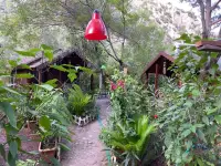 CanaRio Bungalow photo 3