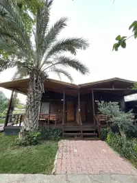 Olympos Yavuz Hotel photo 2