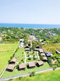 Alicra Hotel Çıralı photo 3