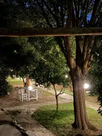 Tahtavilla Pansiyon photo 6