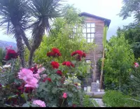 Tahtavilla Pansiyon photo 5