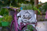 Koala Bungalow photo 6