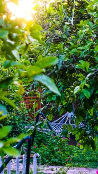 Lemon Garden Lodge photo 5