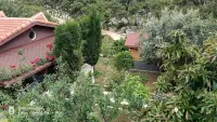 Finike Bungalow & Apart Orion photo 2