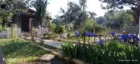 Finike Bungalow & Apart Orion photo 6