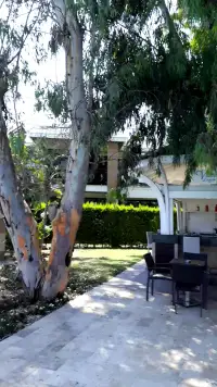 Nirvana Mediterranean Excellence photo 4