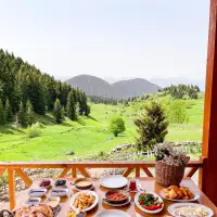 Disharo Yayla Evleri photo 3