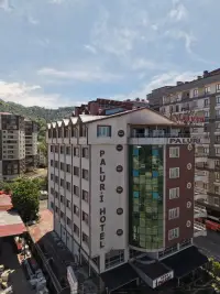 Paluri Otel Hopa photo 4