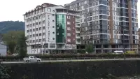 Paluri Otel Hopa photo 1