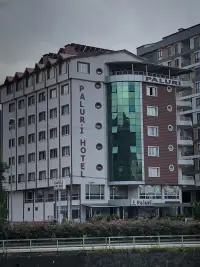 Paluri Otel Hopa photo 2