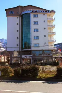 Paluri Otel Hopa photo 3