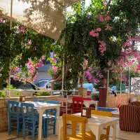 SAFi HOTEL photo 2