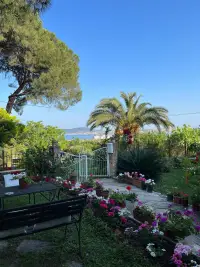 Günebakan Taliani Hotel photo 2
