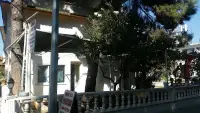 Çiçek Aile Pansiyonu photo 3