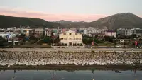 Beyaz Köşk Hotel & Cafe photo 2