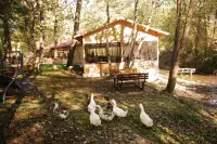 Abant Garden Butik Otel photo 7