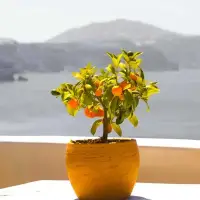 e2 Deniz Otel Bozcaada photo 3