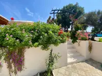 AURA Bozcaada photo 3