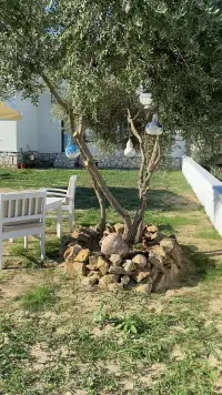 Bozcaada Hülyada photo 3