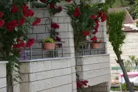 Hotel Hal-Tur photo 2