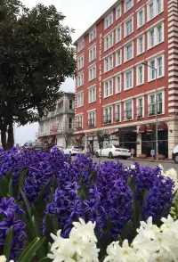Çarıkçı Hotel photo 6