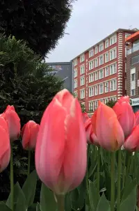 Çarıkçı Hotel photo 8