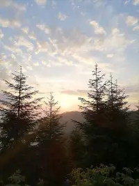 Bektaş Dağ Evleri photo 8
