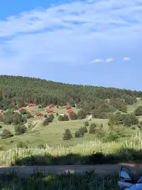 Dumanlı Ahşap Tatil Evleri photo 2