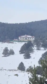 Dumanlı Ahşap Tatil Evleri photo 5