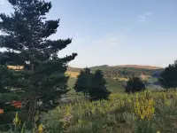 Dumanlı Ahşap Tatil Evleri photo 6