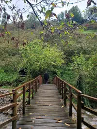 Kök Ev Giresun photo 7