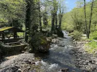 Kök Ev Giresun photo 5