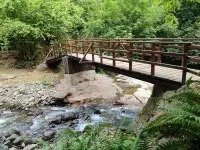 Kök Ev Giresun photo 6
